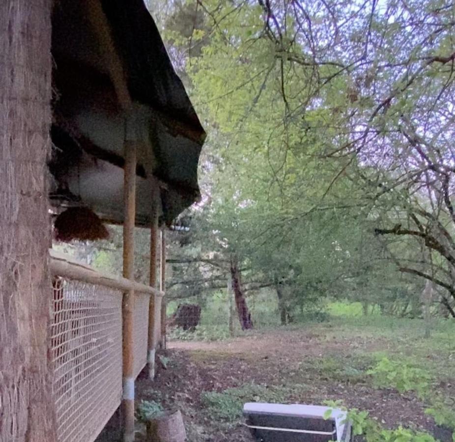 Ecolodge Beauregard Трени Екстериор снимка