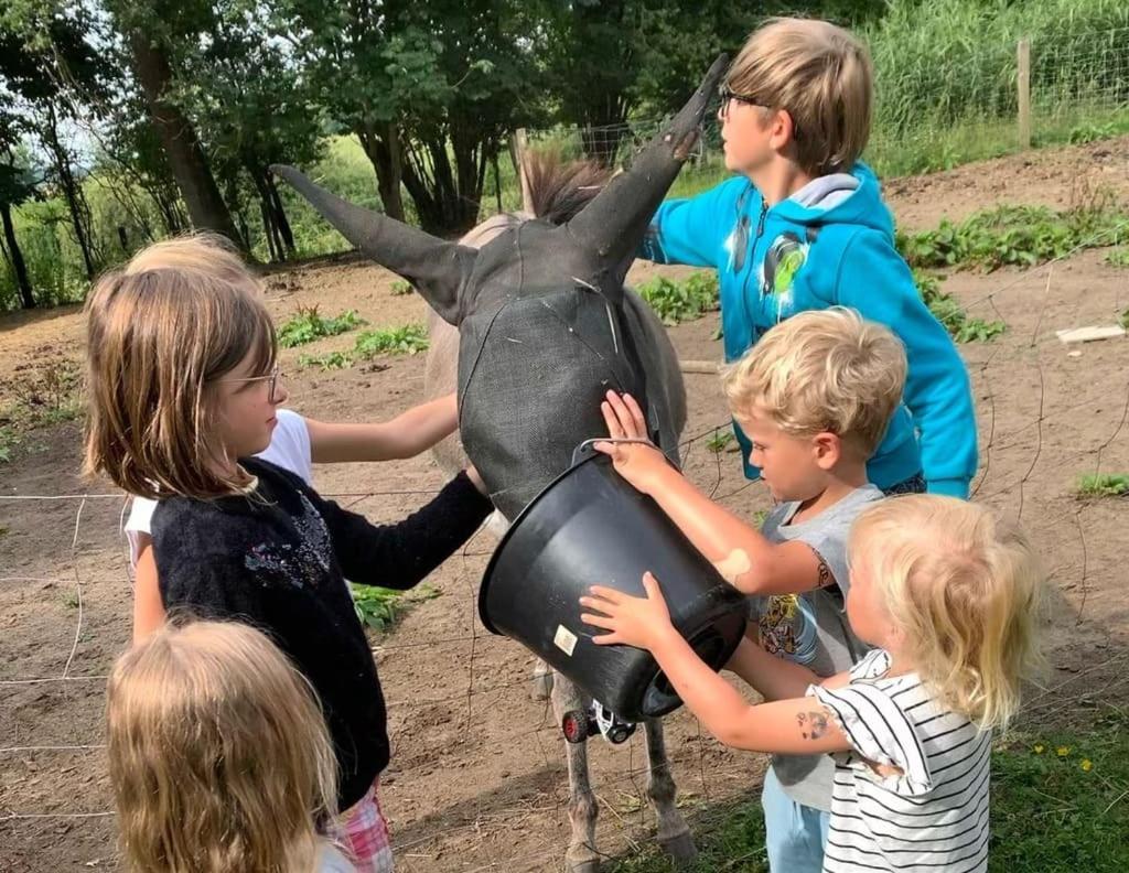 Ecolodge Beauregard Трени Екстериор снимка