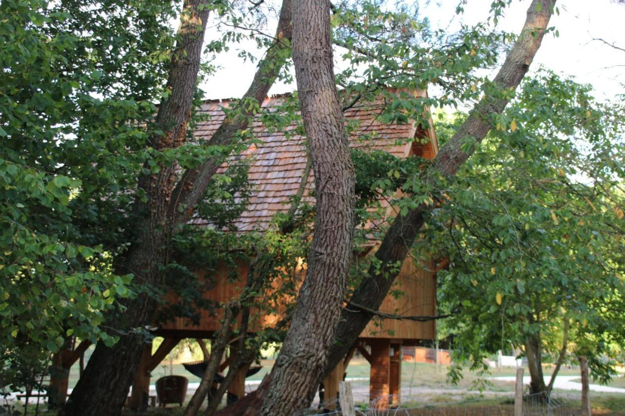 Ecolodge Beauregard Трени Екстериор снимка